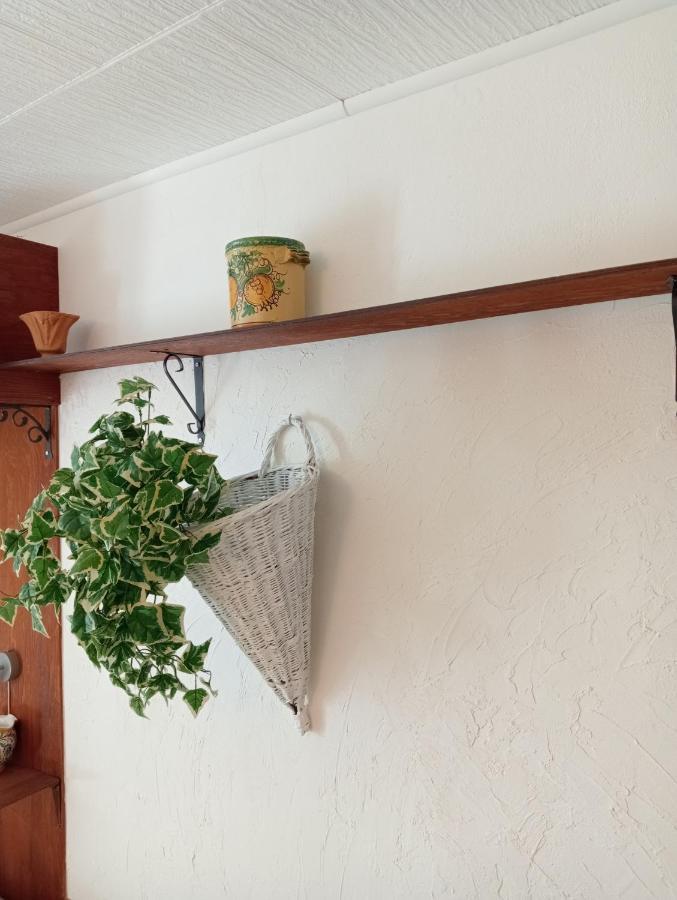 Casa Vacanze Il Girasole 卡尔塔吉罗 外观 照片