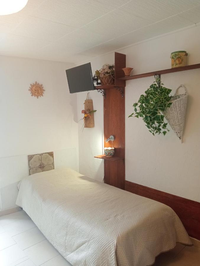Casa Vacanze Il Girasole 卡尔塔吉罗 外观 照片